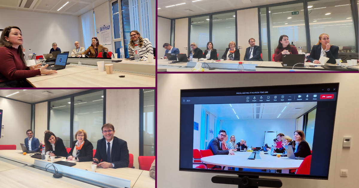 RISE joins forces with the new European IP Helpdesk Consortium